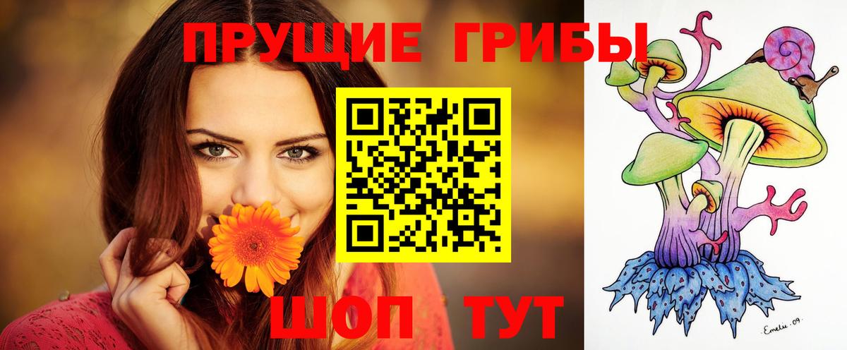 Дзержинский  Галлюциногенные грибы Psilocybe  где продают   Вход с VPN 